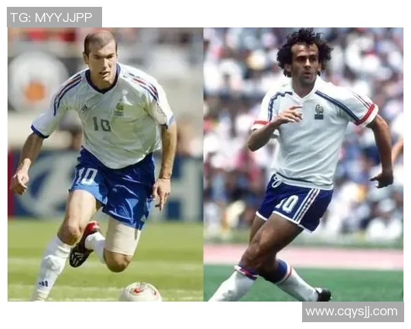 2014年法国足球明星回顾与成就分析